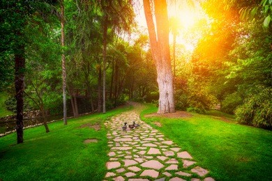 the buen retiro park. retiro park is one of the largest parks of the city of madrid, spain