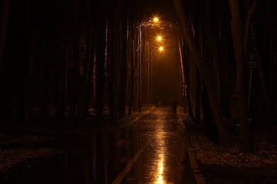 the light of a lantern in the night park rain street lamp