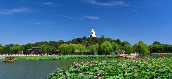 beihai park scenery in summer in beijing,china.