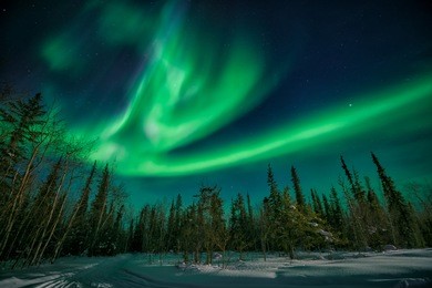 amazing northern lights flying over the forest in yellowknife during a strong solar storm 
