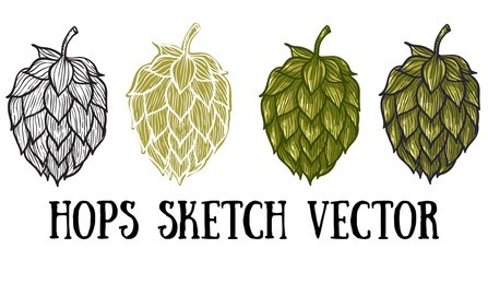 hops vector visual graphic icons or logos, ideal for beer, stout, lager, bitter labels & packaging. 