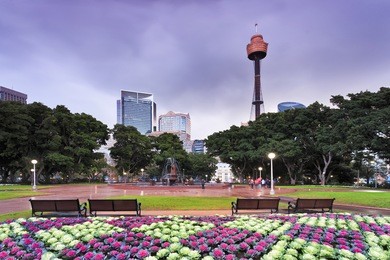 sydney's famous historic and modern hyde park design and architecture at sunset. colourful flowers , benches and blurred fountain in front of green trees and city towers.