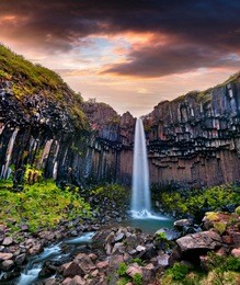 summer scene of famous svartifoss (black fall) waterfall. colorful sunrise in skaftafell, vatnajokull national park, iceland, europe. 
