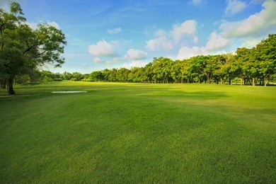landscape of grass field and green environment public park use as natural background,backdrop