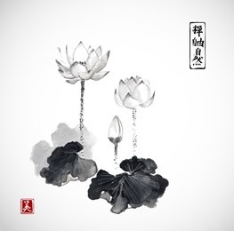 lotus flowers hand drawn with ink isolated on white background. contains hieroglyphs - zen, freedom, nature, beauty traditional japanese ink painting sumi-e