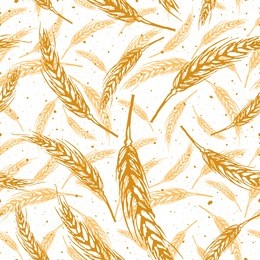 vector seamless pattern illustration ears of wheat. malt beer background. autumn harvest.