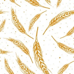 vector seamless pattern illustration ears of wheat. malt beer background. autumn harvest.