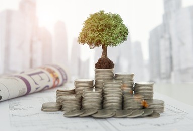 the tree are grow up on coins stack and financial report on desk. concept of finance investment investing.