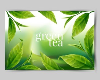 green tea leaf 