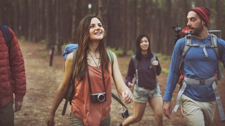 camp forest adventure travel relax concept