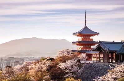 sunset at kiyomizu-dera temple and cherry blossom season (sakura) on spring time in kyoto, japan