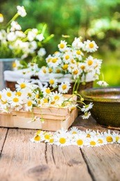 chamomile flowers on a wooden background.the picture was taken in the open air.