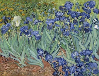 irises, by vincent van gogh, 1889, dutch post-impressionist painting, oil on canvas. van gogh painted this in the garden of the asylum in saint-remy, france in may 1889. the cropped composition was l