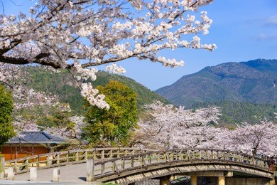 arashiyama, kyoto, japan in the spring season.