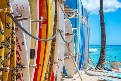 surfboards in the hawaiian sun near waikiki