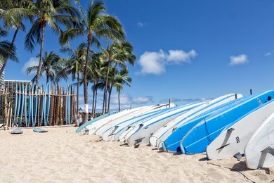 rows of surfboards line the beach at waikiki waiting to be rented.  palm tress line the background with a deep blue sky.