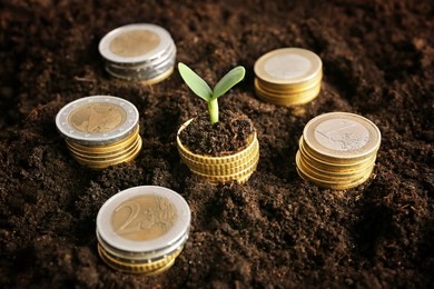 coins in soil with young plant. money growth concept.