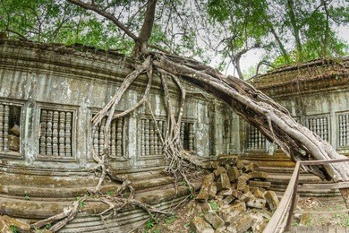 beng mealea temple, the untouch ruins temple, siem reap, cambodia