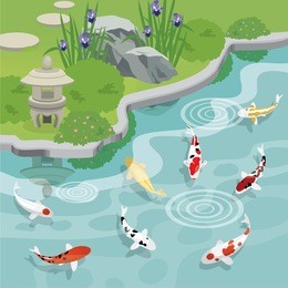 japanese garden with garden lantern by koi pond