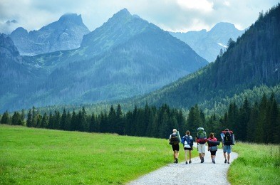 young tourist walking in group together on beautiful natural road surrounded in green meadow and beautiful big mountains. original touristic wallpaper.