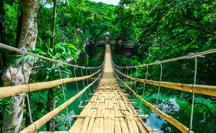bamboo pedestrian hanging bridge over river in tropical forest, bohol, philippines, southeast asia