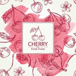 watercolor background with cherry . hand drawn