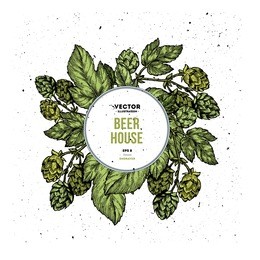 beer hop vertical banner collection. engraved style illustration. vintage beer design templates. vector illustration