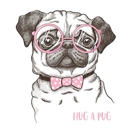 vector illustration of a hand drawn funny fashionable pug
