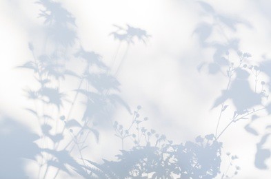 shadows of flowers on a white semi-transparent cloth