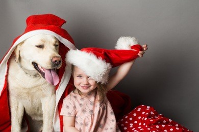 happy little girl with smiling funny face near labrador dog pet in santa claus hat and coat in studio on grey background