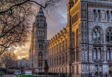 british natural history museum london at sunset