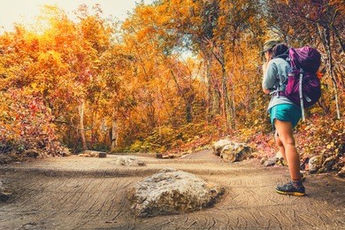 asian female hiker is hiking on the trail during fall foliage. happy/positive/healthy travel concept.