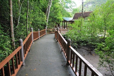 pathway, bat cave, kilim geoforest park, langkawi, malaysia