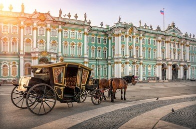 the carriage horses in front of the winter palace in st. petersburg