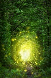 fantastic trees scene- tunnel of love with fairy light afar, magic background
