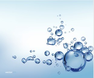 water bubbles on white background. vector