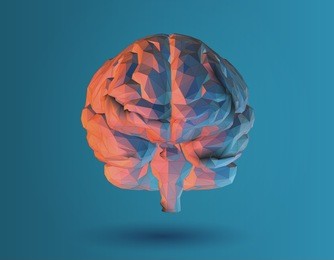 low poly 3d brain illustration for graphic design on blue background