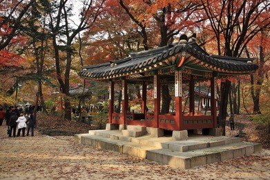 beautiful autumn landscape in the garden of changdeokgung palace in seoul, korea. changdeokgung palace is a garden for the king of the joseon dynasty. another name is 'biwon' which means hidden garden