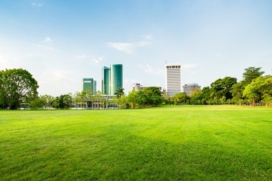 beautiful park scene in public park with green grass field, tree plant and architecture on blue sky background