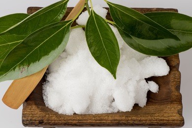 camphor, gum camphor, formosan camphor, laurel camphor