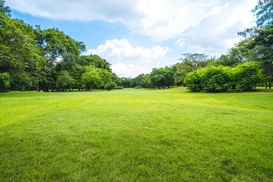 beautiful park scene in public park with green grass field, green tree plant and a party cloudy blue sky
