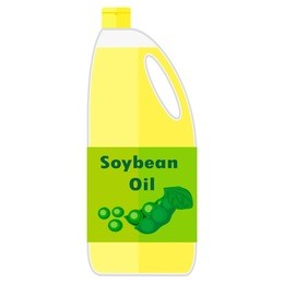 vector colorful illustration of a bottle with soybean oil.