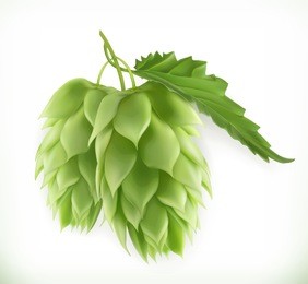 hop plant 3d vector icon