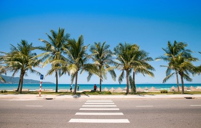 a sidewalk, zebra crossing, seawall and row of palm trees in front of the my khe beach in da nang, vietnam