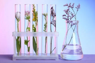 flowers and plants in test tubes on wooden background. the concept of biological research.