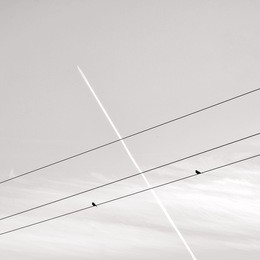 minimalistic image of light sky with flying jet and two birds sitting on wire