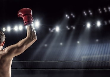 professional box champion . mixed media