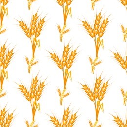 seamless wheat pattern cereal harvest. wheat pattern vector illustration nature design rural rye element. bread food grain wheat pattern nature design seamless pattern agriculture.