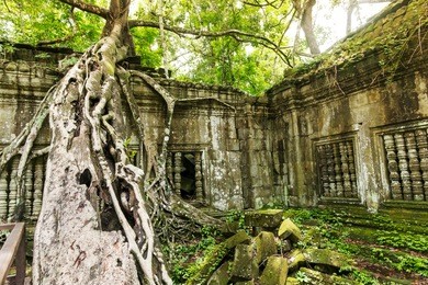 beng mealea, ancient temple ruins in the jungle, siem reap, cambodia.