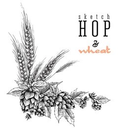 wheat and beer hops branch with wheat ears, leaves and hop cones. sketch and engraving design plant angular frame. all element isolated.